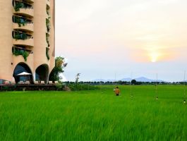 Rêu Hội An Boutique Hotel