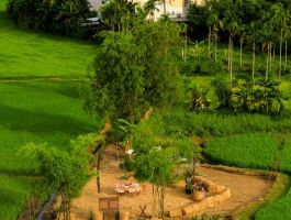 Rêu Hội An Boutique Hotel