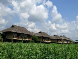 Voucher Mekong Riverside Boutique Resort Tiền Giang