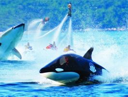 Voucher Hòn Tằm Resort Nha Trang