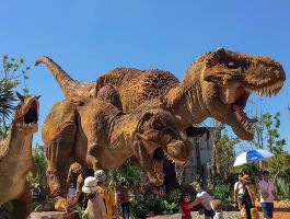 Vé Vui Chơi NovaWorld Phan Thiết - Bình Thuận