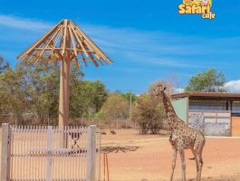 Vé Vui Chơi NovaWorld Phan Thiết - Bình Thuận