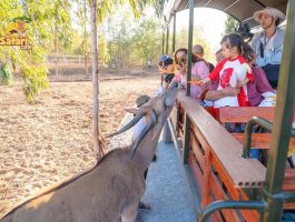 Vé Vui Chơi NovaWorld Phan Thiết - Bình Thuận