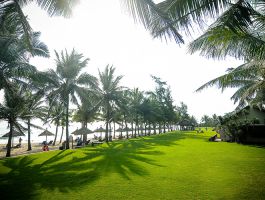 Voucher Palm Garden Hội An Resort