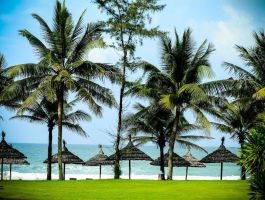 Palm Garden Suite (2)