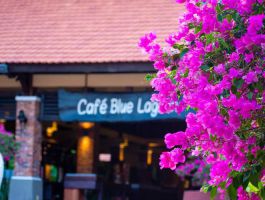 Pandanus Resort Phan Thiết