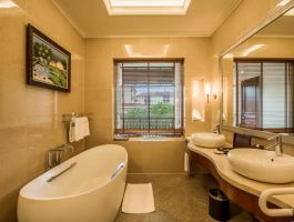 Premier Suite Ocean 5