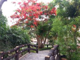 Phu Hai Beach Resort & Spa 