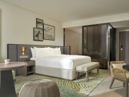 Premium with Oceanfront View - King bed 1