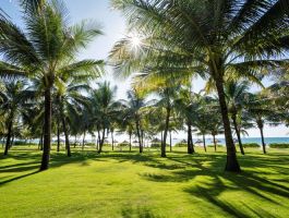 Voucher Radisson Blu Resort Phu Quoc