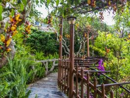 Voucher Zen Valley Resort Dalat 