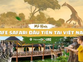 Vé Công Viên Safari Cafe