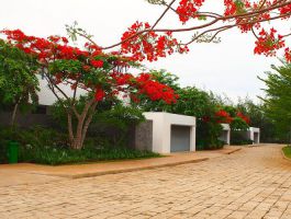 Sanctuary Hồ Tràm