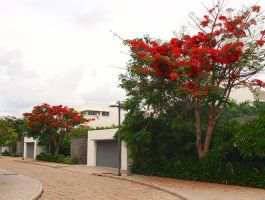 Sanctuary Hồ Tràm