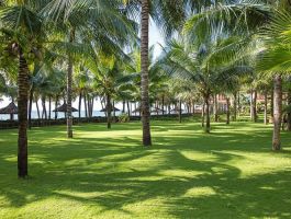 Sunny Beach Resort