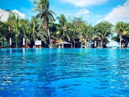 Voucher Sea Lion Beach Resort & Spa Hàm Tiến