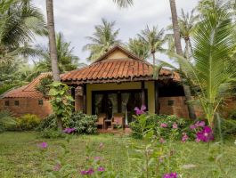 sea-lion-beach-resort-spa-ham-tien-38