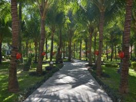 Sea Lion Beach Resort & Spa Mũi Né