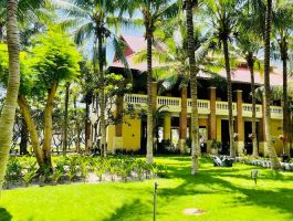 Voucher Sea Lion Beach Resort & Spa Hàm Tiến