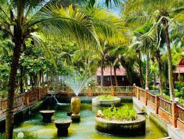 Voucher Sea Lion Beach Resort & Spa Hàm Tiến