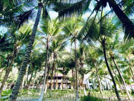 Sea Lion Beach Resort & Spa Mũi Né