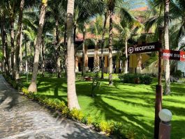 Voucher Sea Lion Beach Resort & Spa Hàm Tiến