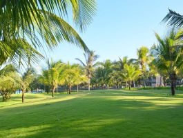 Voucher Sonata Resort Phan Thiết