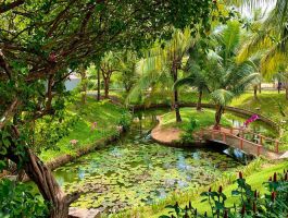 Voucher Sonata Resort Phan Thiết