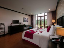 Deluxe Mountain View