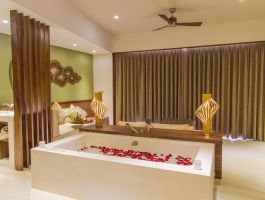 Premium Deluxe Ocean3