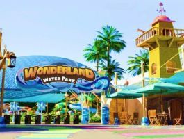 thumb_265_picture8-4