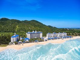 Lan Rừng Phước Hải