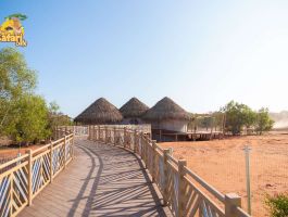 Công viên Safari Cafe2