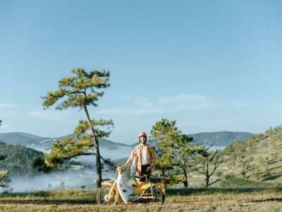 Kinh nghiệm du lịch Đà Lạt tháng 10 - Dã quỳ 1 màu vàng tươi