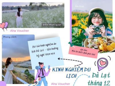 Kinh nghiệm du lịch Đà Lạt tháng 12 - mùa đẹp nhất trong năm