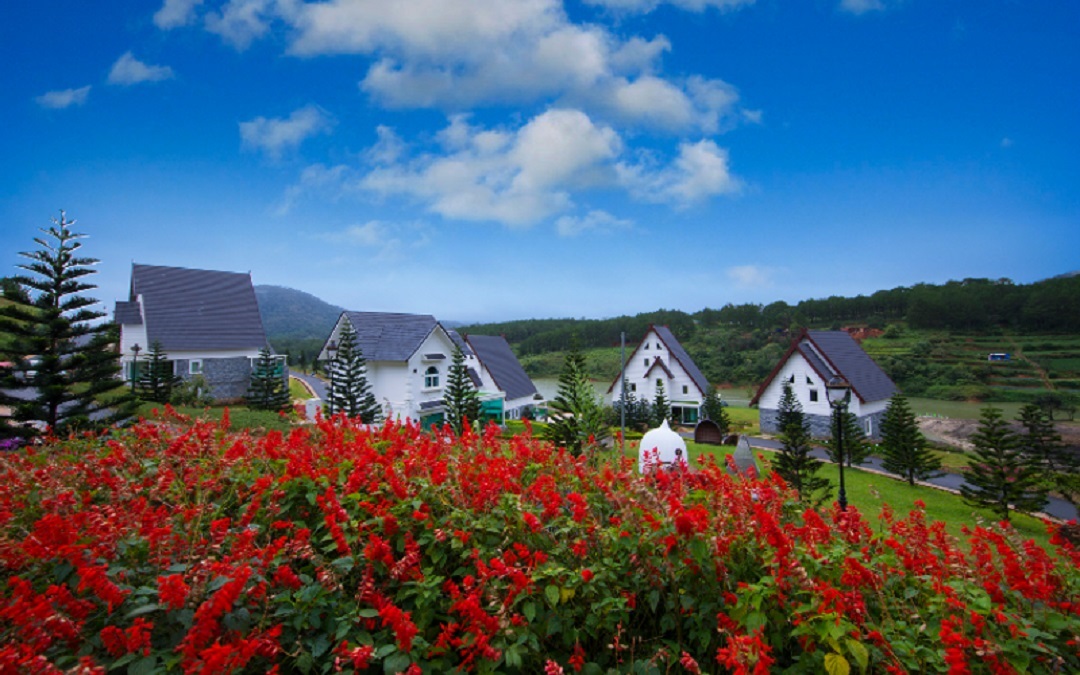 Voucher Dalat Wonder Resort - Hàng Tuyển Giá Độc Quyền 2021