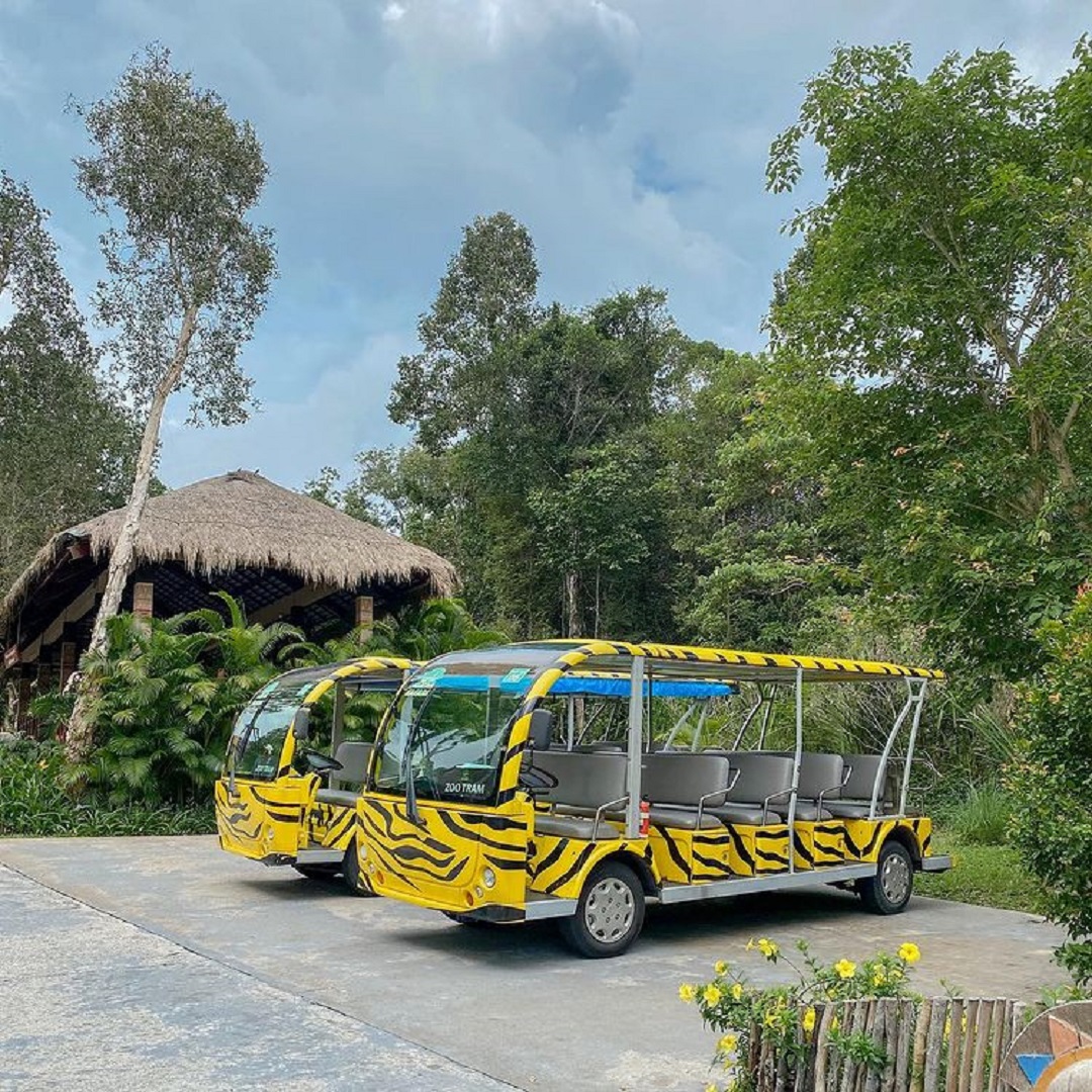 Kinh nghiệm đi Vinpearl Safari Phú Quốc [Lời khuyên Hữu ích nhất]