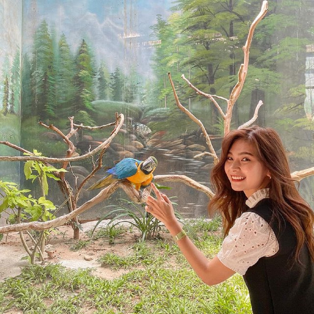 Kinh nghiệm đi Vinpearl Safari Phú Quốc [Lời khuyên Hữu ích nhất]