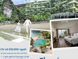 Cần thanh lý Flamingo Cát Bà + 1 lần tắm onsen Nhật Bổn 