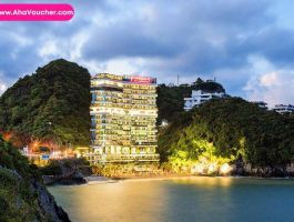 Cần thanh lý Flamingo Cát Bà + 1 lần tắm onsen Nhật Bổn 