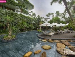 Cần thanh lý phòng Flamingo Đại Lải 24/12 ( lễ noen)
