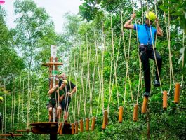 CẦN THANH LÝ VOUCHER ALBA WELLNESS RESORT HUẾ - Deal hời hạng BUNG - Ở 2 trả 1 - chỉ 3250/đêm