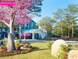 Cần thanh lý voucher Terracotta Đà Lạt - phòng Superior